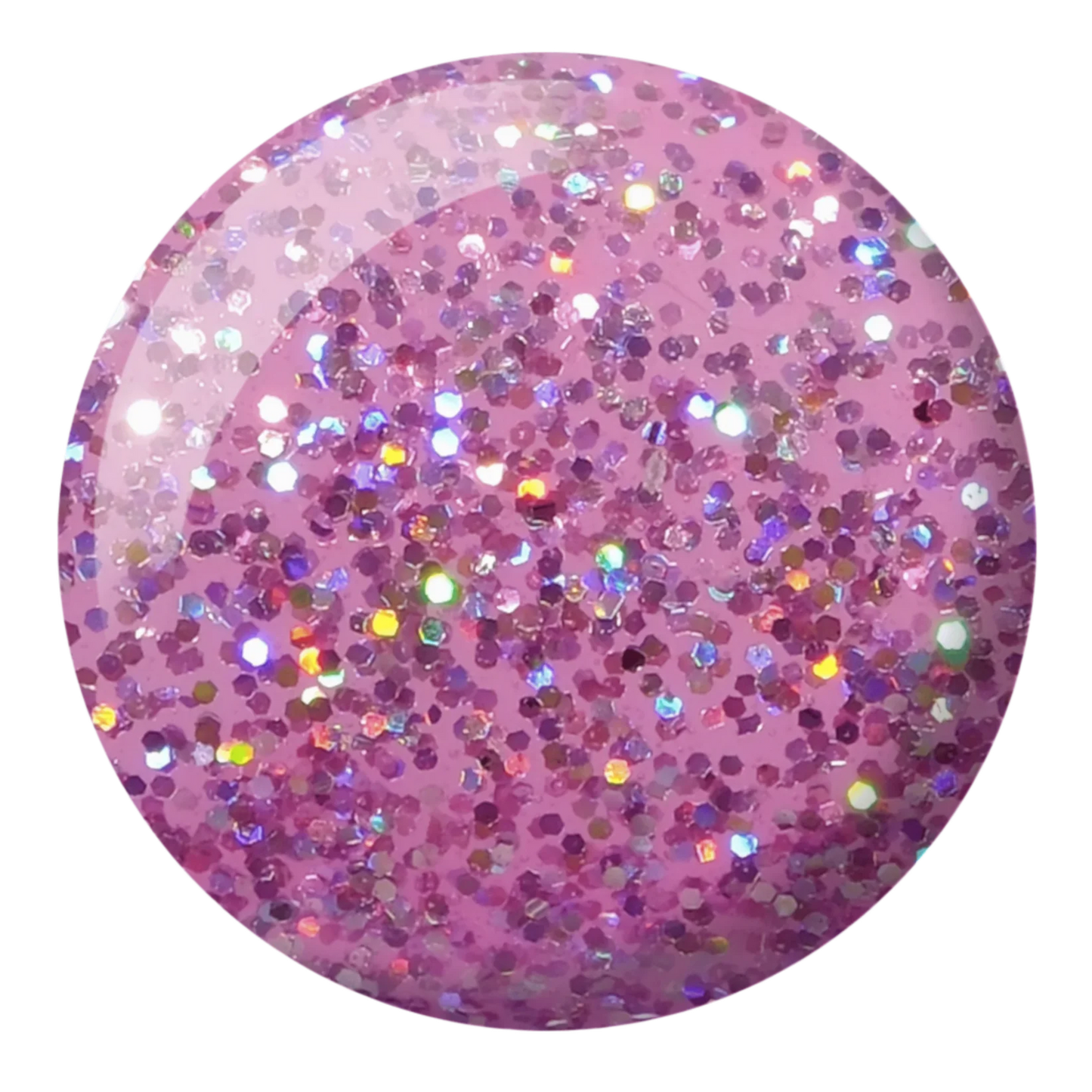 Product image: Diva008-QueenConch