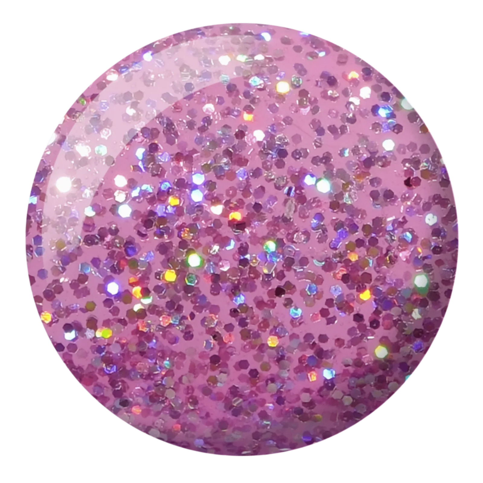Product image: Diva008-QueenConch