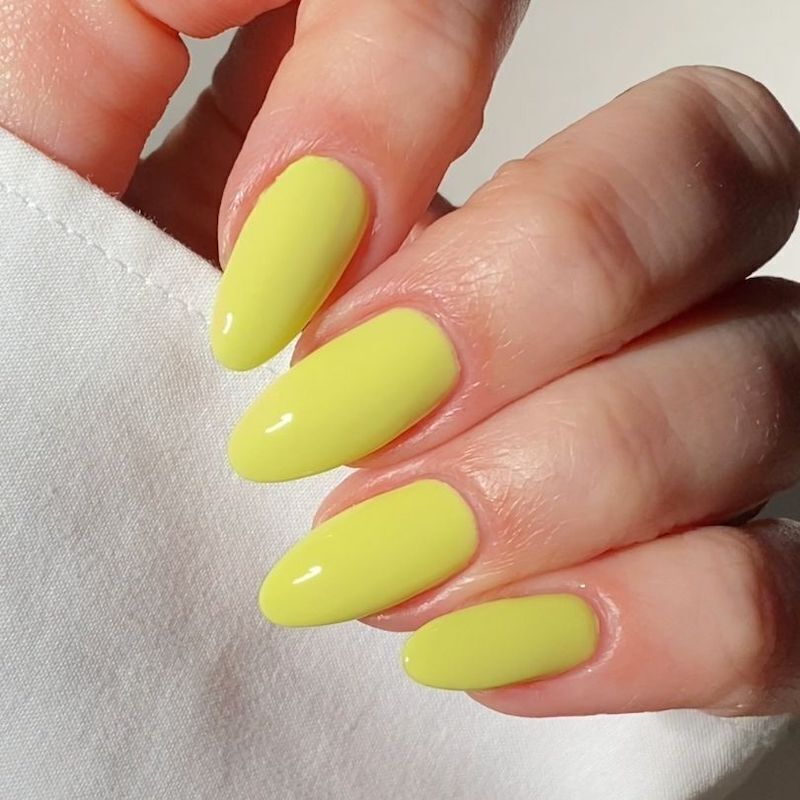 Product image: Diva219-Bumblebee