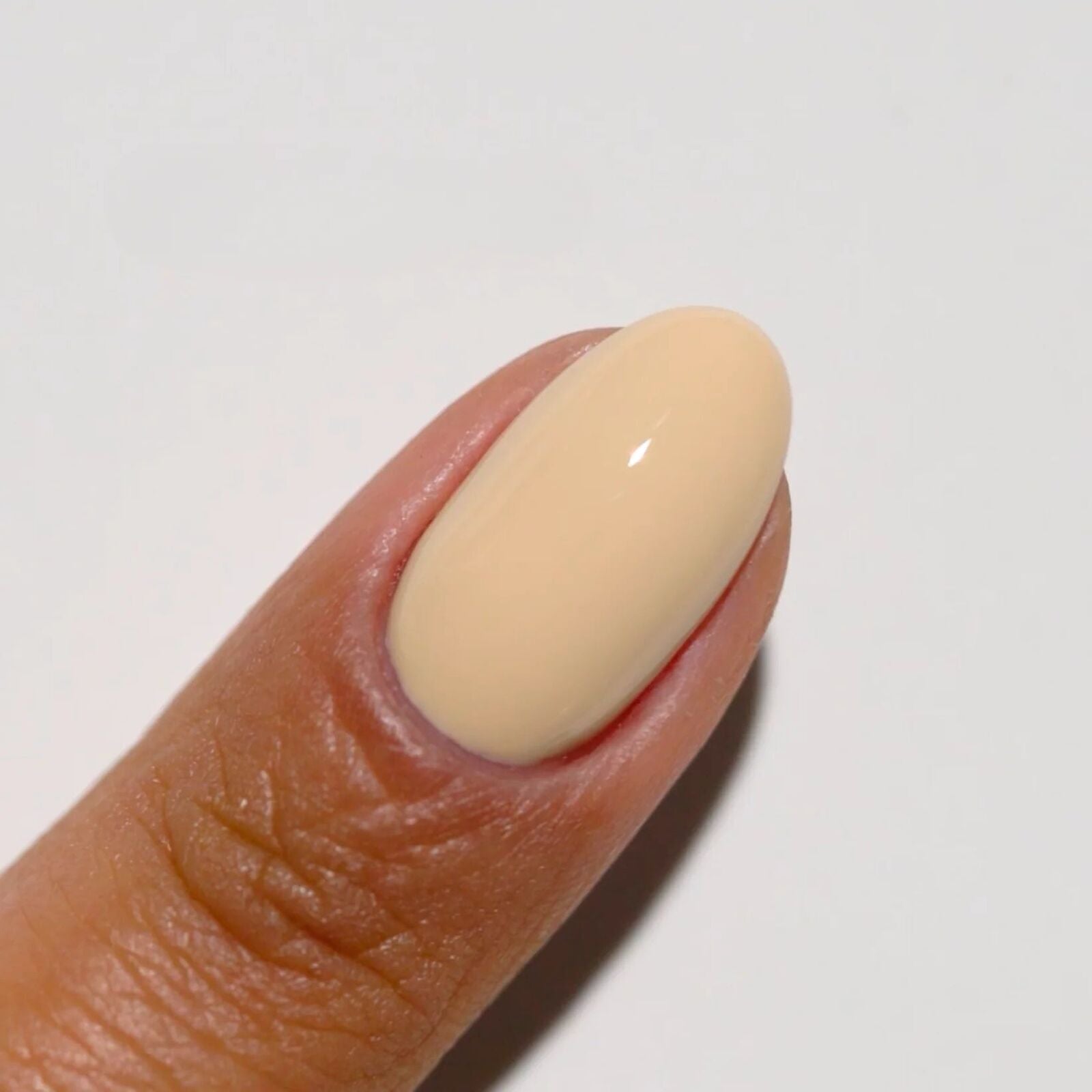 Product image: Diva052-BiscuitsNHoney