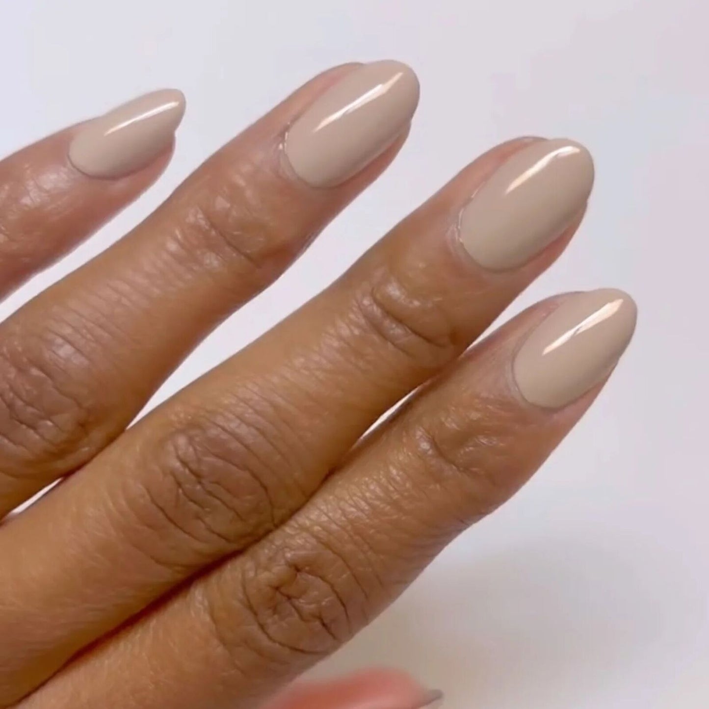 Product image: Diva054-JurassicGrey